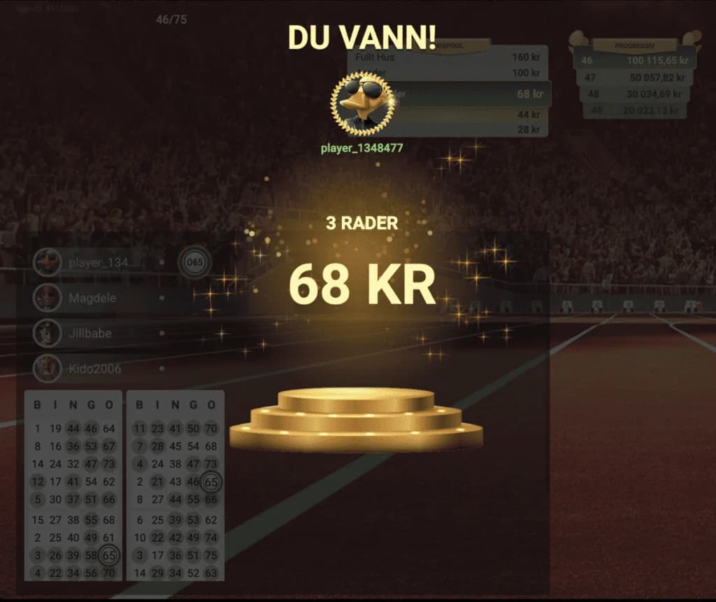 Tredje raden vinst i bingo