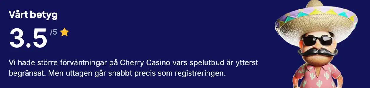 casino med okej betyg