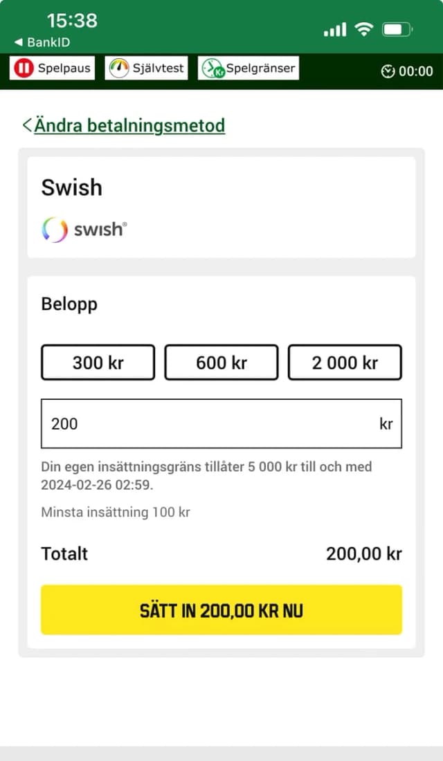 Fyll i belopp