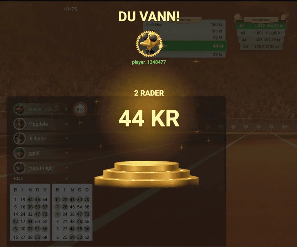 2 rader vinst i bingo