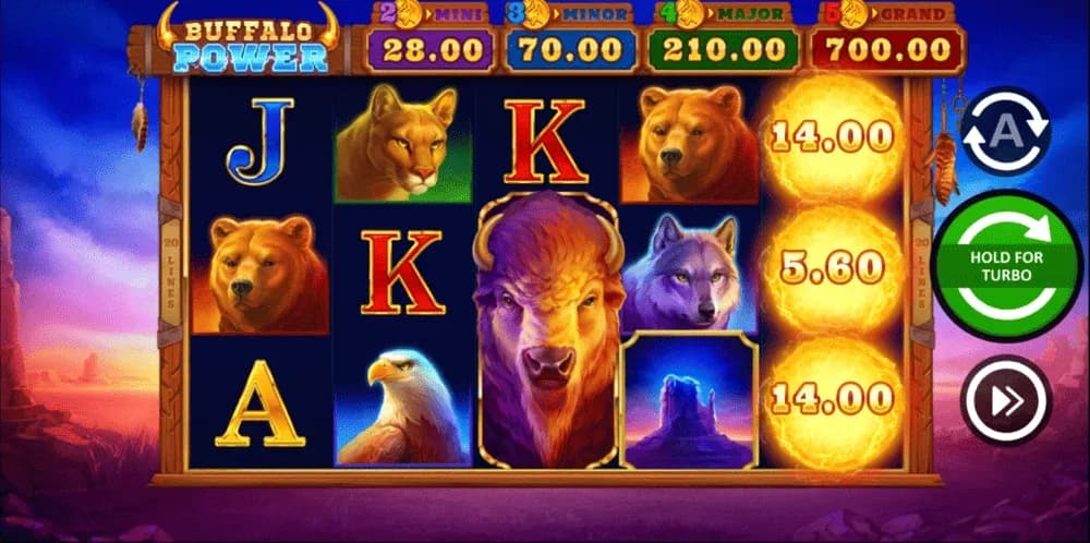 Buffalo Power Hold And Win spelplan