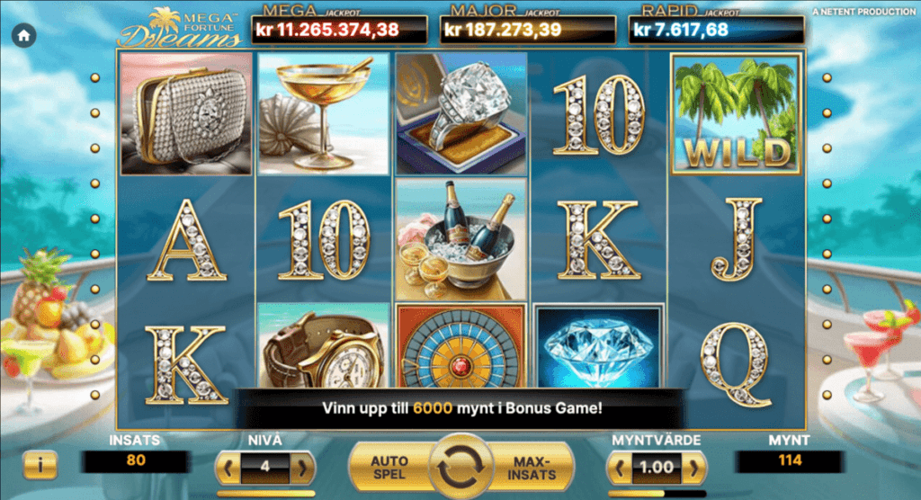 Myntvärde och nivå - hur man spelar slots