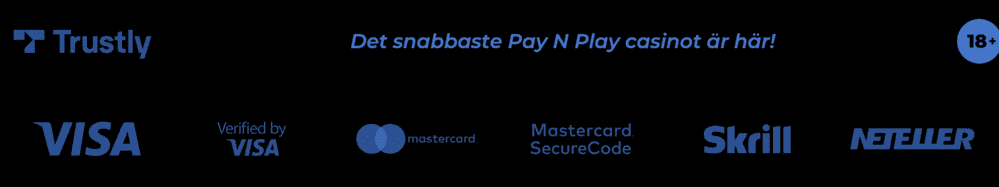 Race Casino betalningar