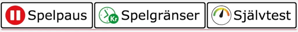 Loggor för Spelpaus, Självtest och Spelgränser
