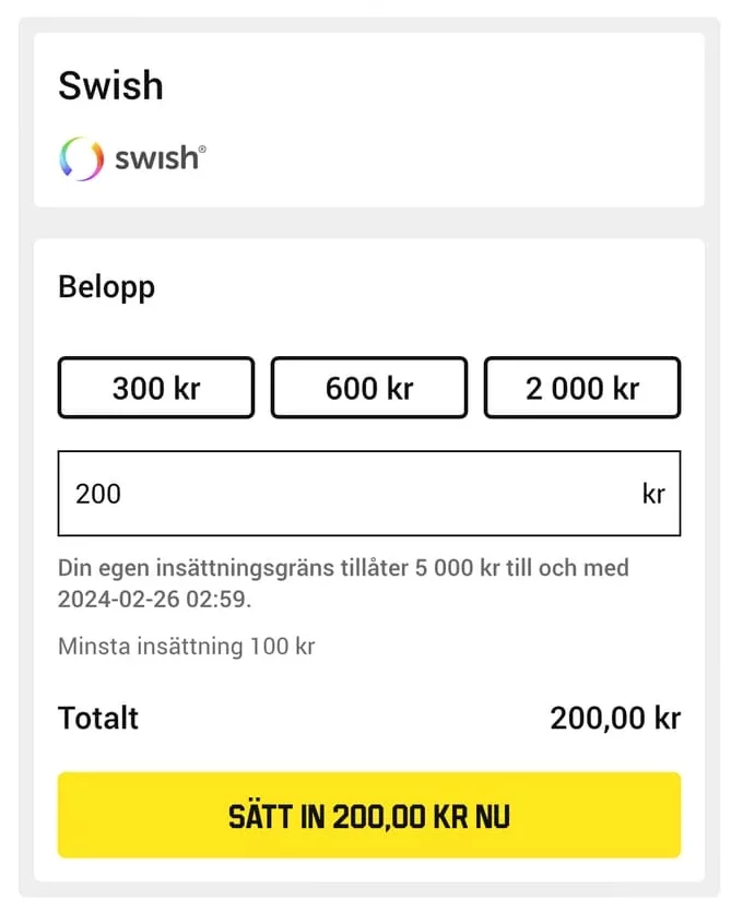 Fyll i insättningsbelopp