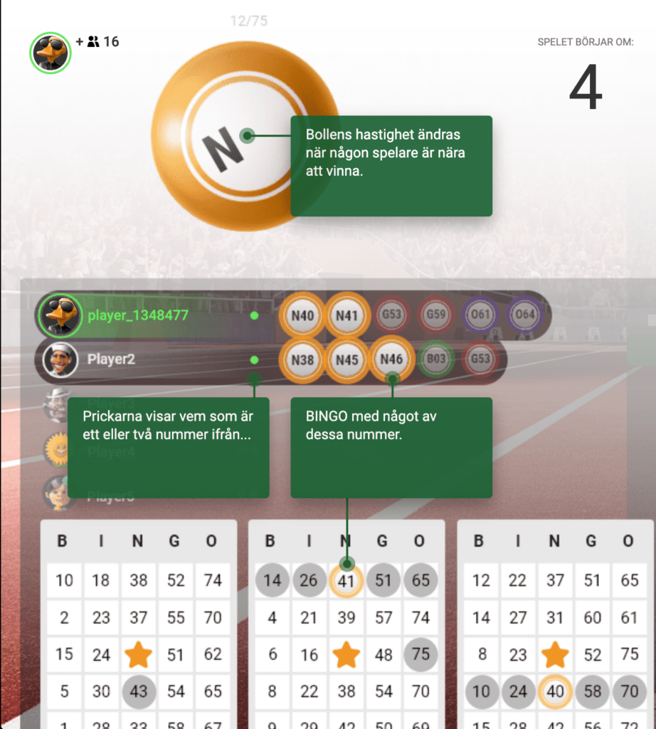 Spelet ska börja - hur man spelar bingo på nätet