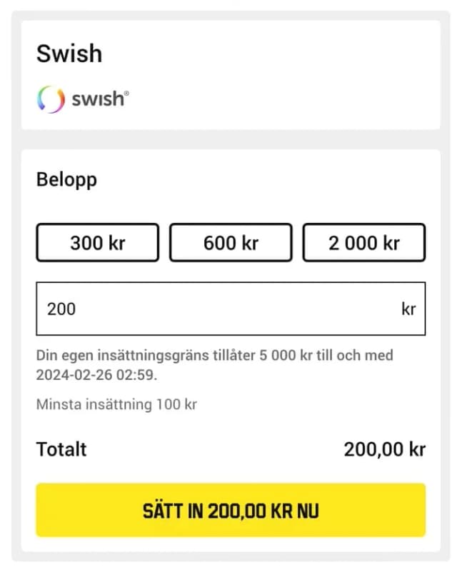 Fyll i insättningsbelopp